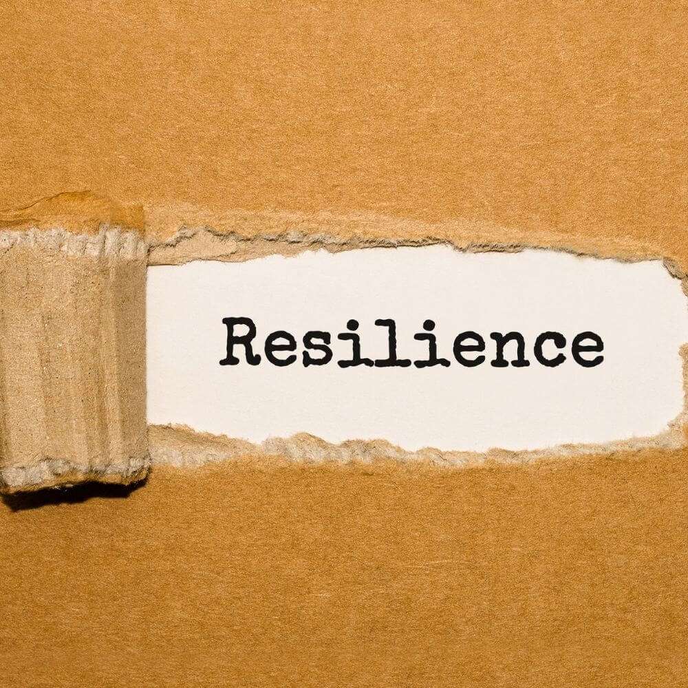 Why are we getting it wrong with resilience? - The return of the lion queen